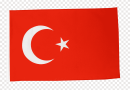 png-clipart-istanbul-flag-of-turkey-flag-patch-national-flag-turkey-miscellaneous-flag
